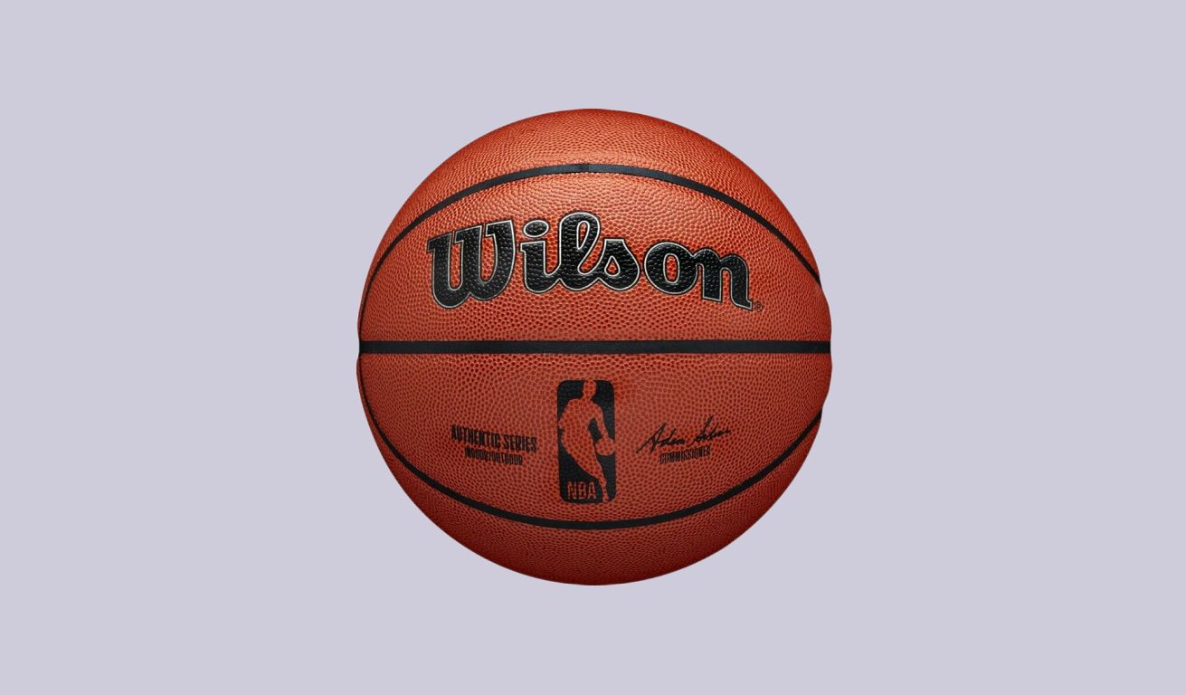 Изображение Wilson NBA Authentic In/Outdoor