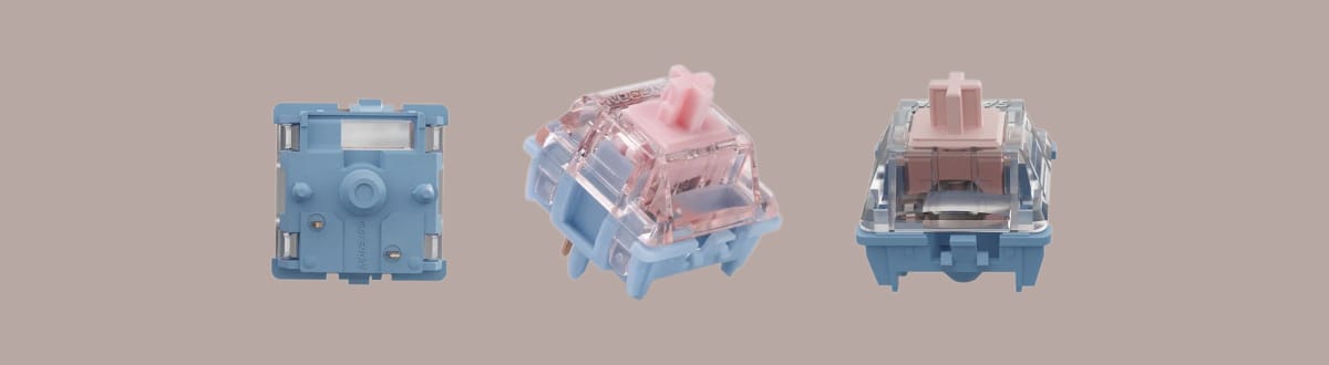 Gateron Melodic на однотонном фоне.