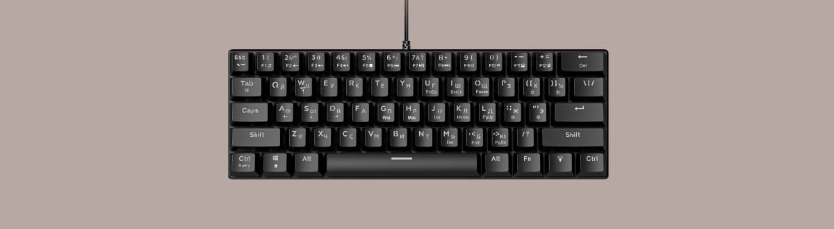 CyberLynx BD61 на монохромном светло-коричневом фоне.